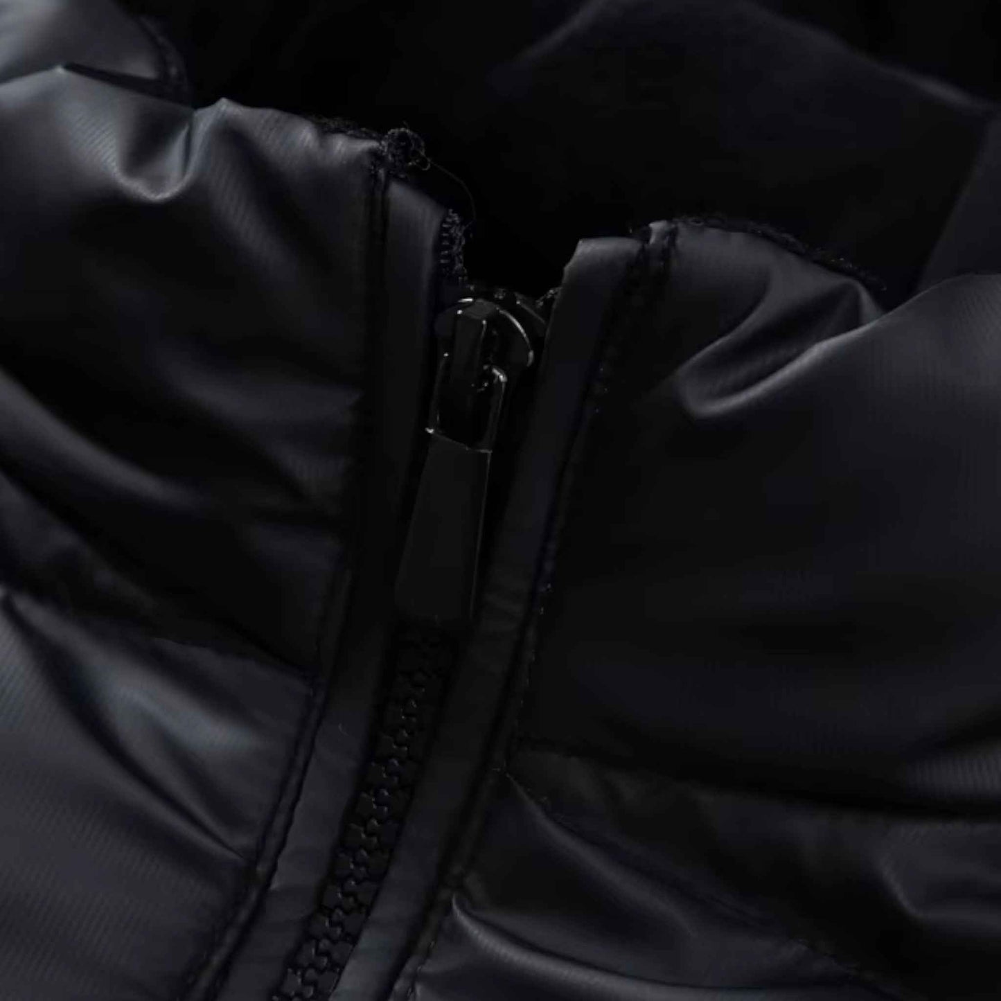 Mens Insulated Winter Jacket Waterproof Windproof Warm Coat