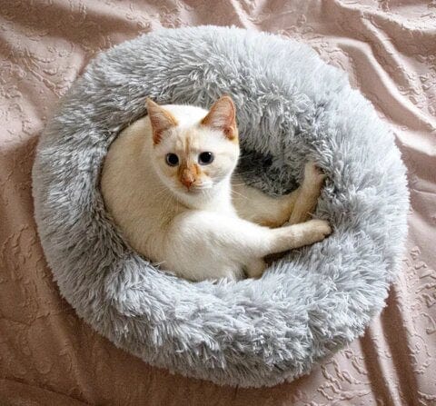 Calming Dog Cat Bed Soft Plush Round Pet Bed Raised Edge