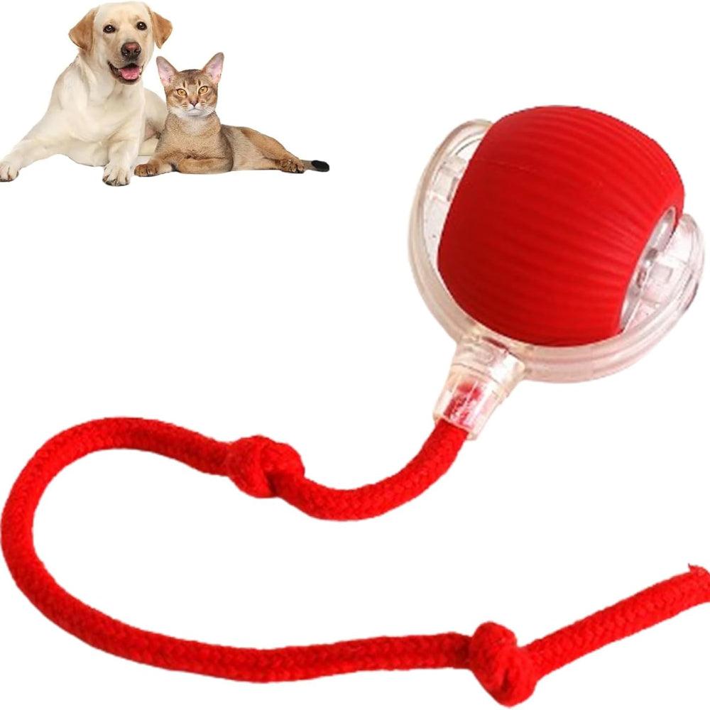 Interactive Pet Ball USB Rechargeable Smart Play Toy for Dogs and Cats