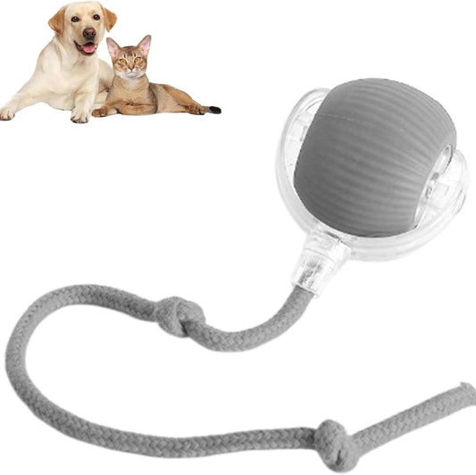 Interactive Pet Ball USB Rechargeable Smart Play Toy for Dogs and Cats