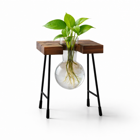 Transparent Glass Hydroponic Vase Modern Desktop Plant Holder