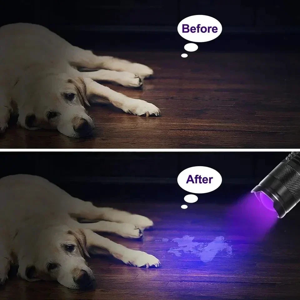 UV Inspection Flashlight Pet Stain Detector Portable Blacklight Urine Detection Torch